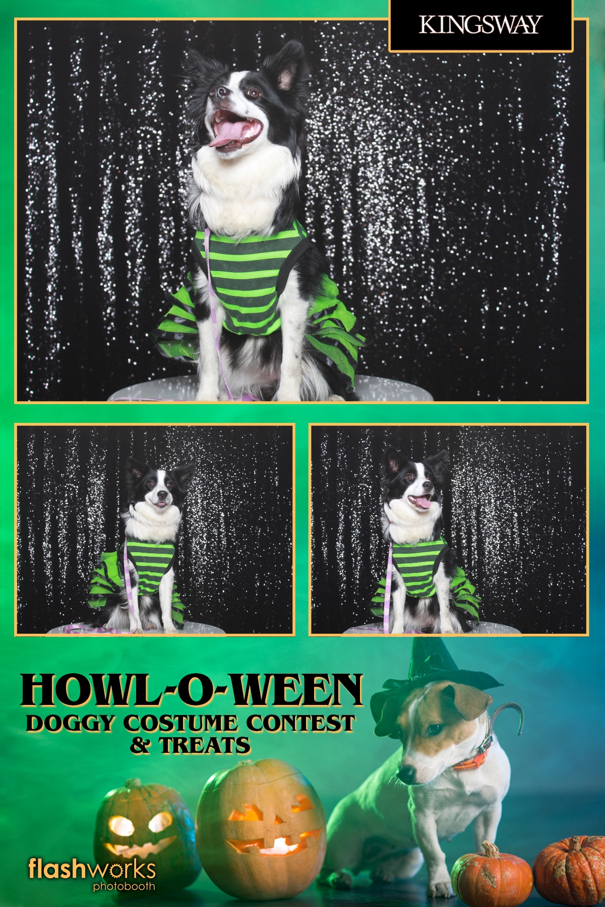 Kingsway Howl-O-Ween Doggy Costume Contest | View more photos from the event at gallery.flashworksphotobooth.com/u/FlashworksPhotoboothInc/Kingsway-Howl-O-Ween-Doggy-Costume-Contest